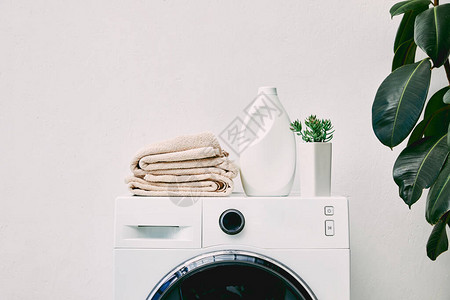 洗衣机和卫生间绿植物上的洗涤机用清背景图片
