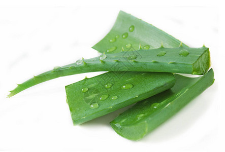 白色的清新aloevera图片