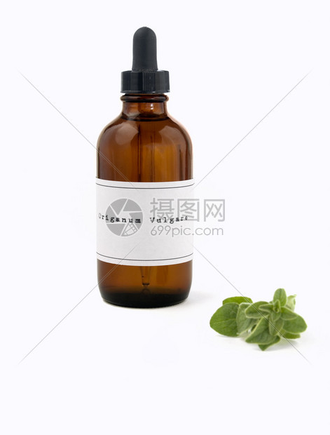 一种抗感冒和流感的草药红菜油拉丁名图片