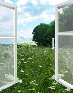 开窗通向鲜花盛开的夏日田野背景图片