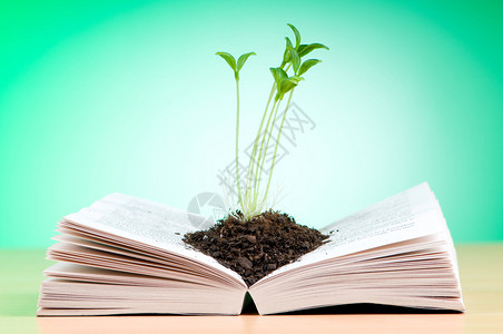 书,树从书本中长出的幼苗知识概念背景