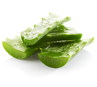 Aloevera白底图片