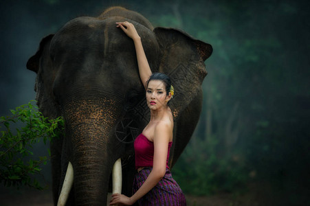 身着传统服饰的泰国美女和狂野的大象与概念时尚人士和大象致泰国和世界上图片