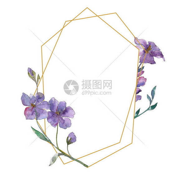 蓝色和紫色亚麻花卉植物花孤立的野生春叶野花水彩背景插图集水彩画时尚水彩画框架图片