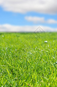 夏日的蓝天白云绿草背景图片