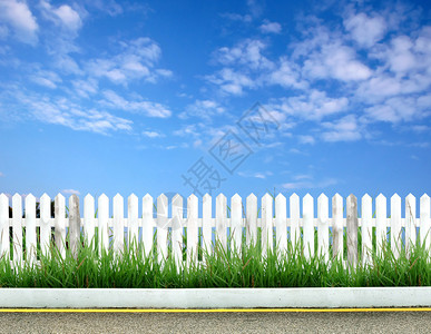 有绿草和蓝天的木篱芭图片