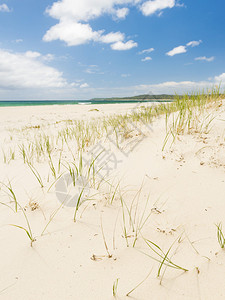 沙丘上明亮的蓝天白沙和绿草图片