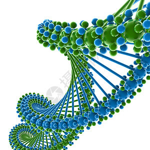 蓝色和蓝色DNA链的插图图片
