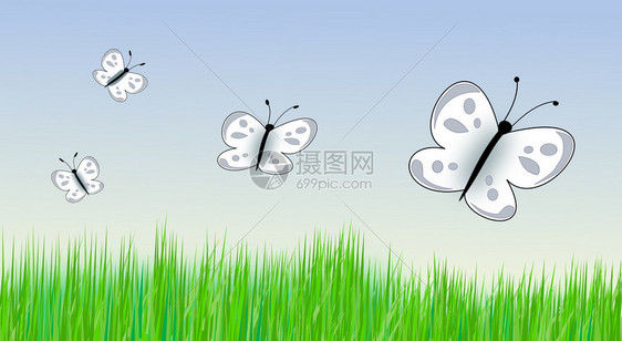 一些蝴蝶飞过绿草如茵的草地图片