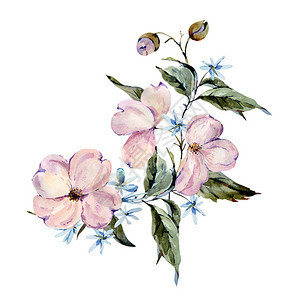 粉色和浅蓝色花朵树枝叶子花蕾贺卡白色背景上孤立的手图片