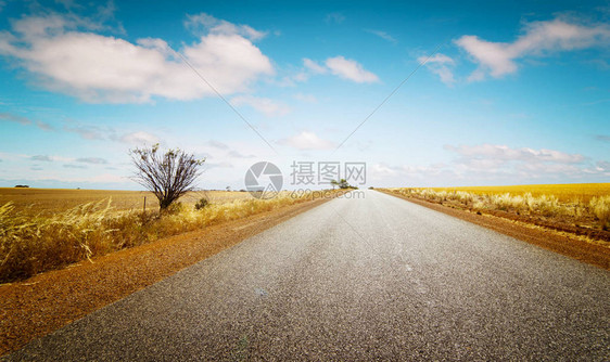 直路通天空和金麦田背景的地平线图片