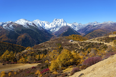 秋季哈巴雪山景观图片