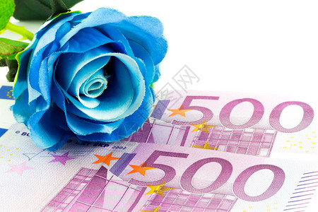 钱和蓝玫瑰图片