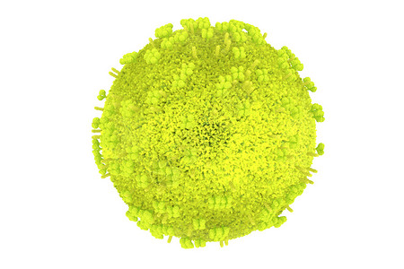 绿色详细流感模型的高品质成品质量图片