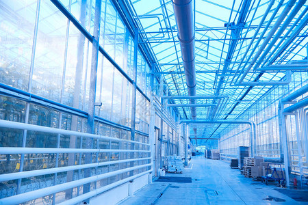 现代工业种植园温室的宽角视以蓝光图片