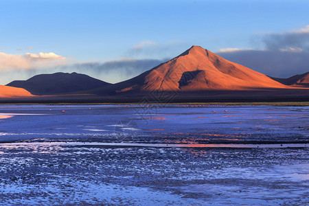 玻利维亚阿尔提平原图片