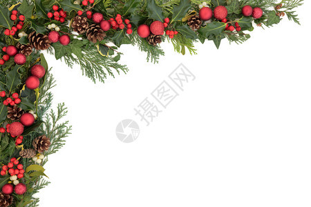 圣诞的边框有红色小面包胡萝卜寄生虫长春藤和冬季绿菜图片