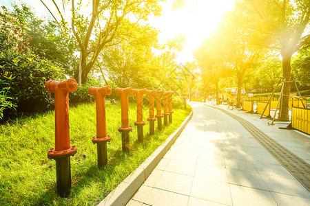 公园绿色道路附近的水图片