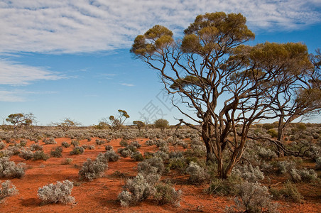 澳大利亚风景南澳大利亚图片