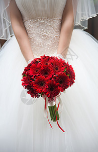 新娘手中的婚礼花束红菊花图片