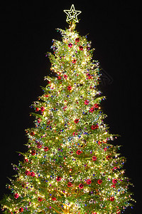 装饰圣诞树图片