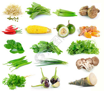 白色背景上的一组蔬菜图片