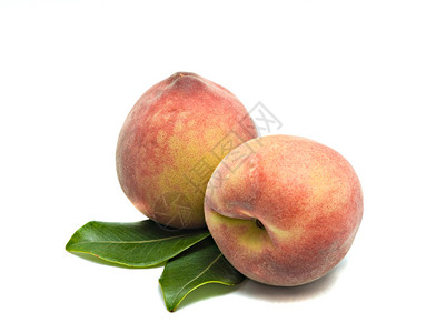 孤立在白色背景上的两个桃子背景图片