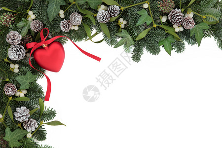 圣诞背景边框有红心大便装饰霍利易卜寄生虫松图片