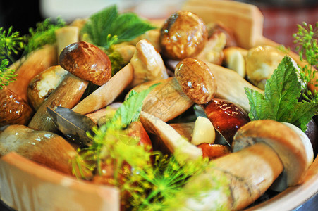 木罐中的香菇蔬菜图片