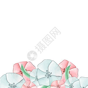 白色背景上的春天花水彩图片