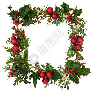 圣诞装饰边框有冬眠常春藤寄生虫香肠叶夹着松果和红图片