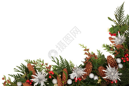 圣诞装饰边框有香肠藤寄生虫冰冻叶片和松瓜银卷尾巴以及白图片