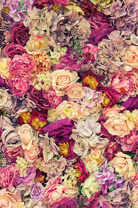 浪漫美丽的花墙婚礼场景的玫瑰背图片