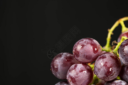 甜黑葡萄和水滴图片