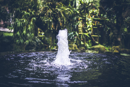 巴厘岛公园里的小花园喷泉图片