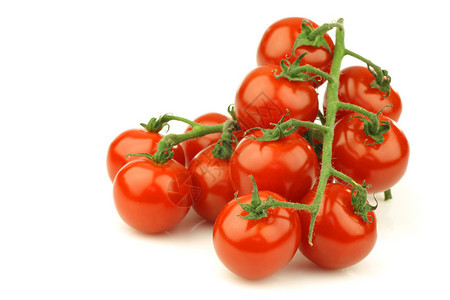 白色背景上葡萄藤上的新鲜樱桃番茄图片