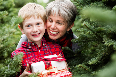 家庭为圣诞节挑选一棵树在圣诞树农场赠图片