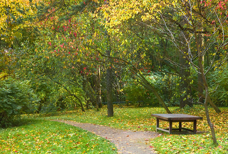秋季公园里孤独的长凳图片
