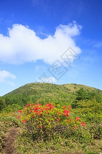 与日本长野Yuunomaru山合唱图片