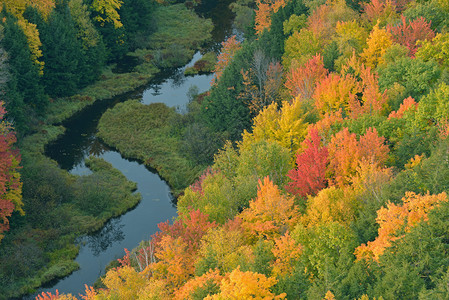 美国密歇根州上半岛波鲁宾山荒野公园秋天森林和小溪云湖的空中前图片
