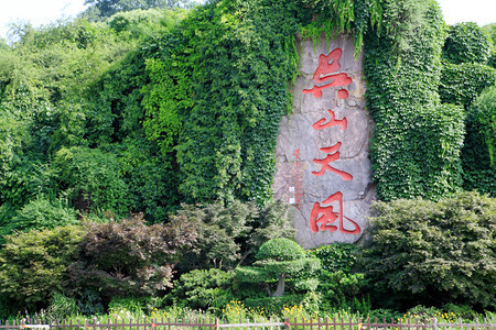 巫山风景区绿植石背景图片