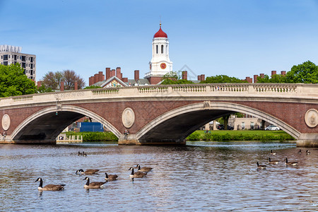 约翰W周大桥和时钟塔位于波士顿哈佛大学校园的查尔斯河上空有树图片