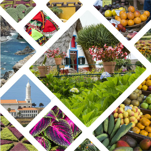 Madeira葡萄牙图像拼凑旅行背景图片