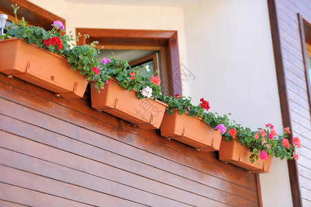 浪漫的阳台鲜花盛开图片