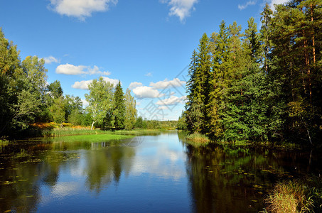 秋天的河流和森林场景图片