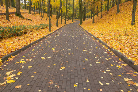 城市公园的秋色图片