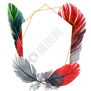 五颜六色的鸟羽毛从孤立的翅膀水彩背景插图集水彩画时尚水彩画孤立框架图片