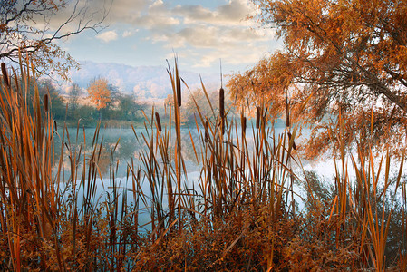 美丽的秋天风景与河流图片