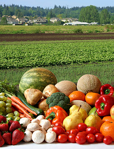 种类繁多的新鲜水果和蔬菜农田前100图片
