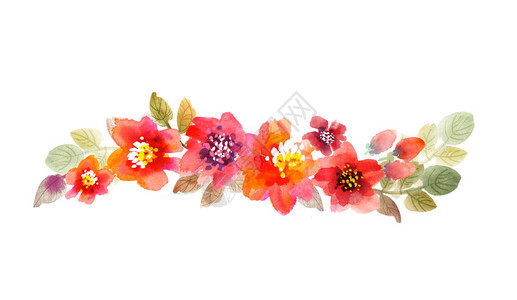水彩花卉插图手绘粉红色和红色的夏季花朵邀请的设计元素问图片